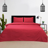 PLAIN COTTON BEDSHEET SET-3PCS D-10 - trendifypk